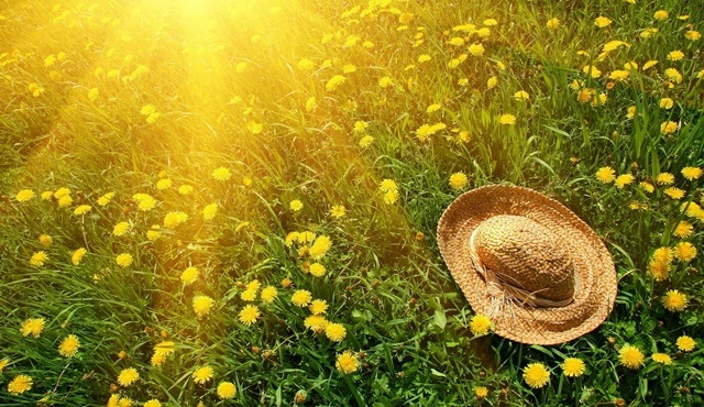 Yaz ekranının tatlı günlerine ilk bakış!