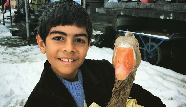 Rauf filmi ödüle doymuyor!