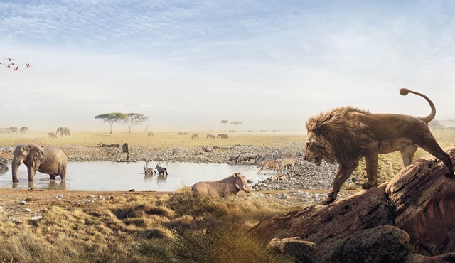 Dünyanın en ünlü belgeselcilerinin yepyeni yapımları BBC Earth’te yayınlanacak