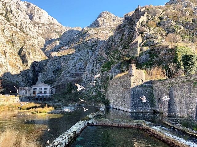 Kotor