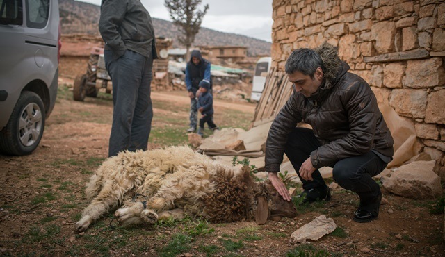 Necati Şaşmaz, Kurtlar Vadisi Vatan filmi için kurban kesti!