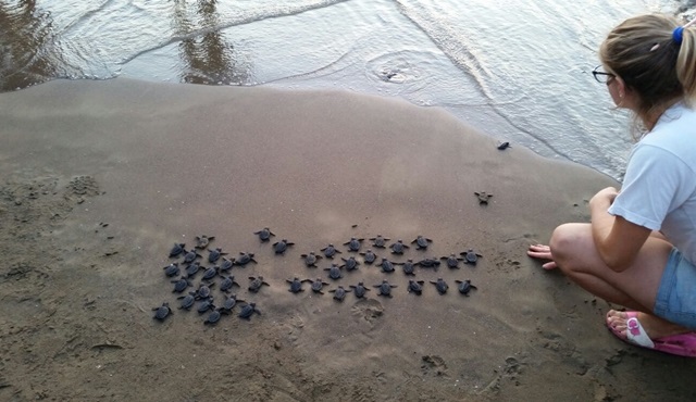 İftarlık Gazoz'un çekimlerinde Caretta Caretta molası!