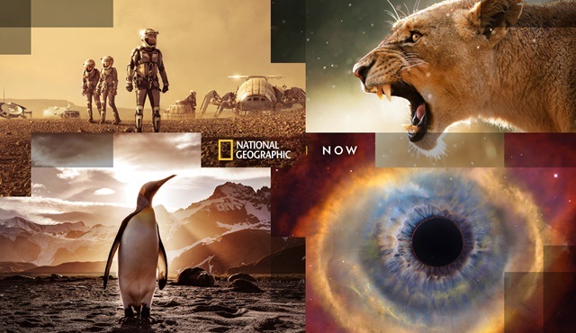 Birbirinden iddialı yapımlar Şubat ayında National Geographic NOW’da!