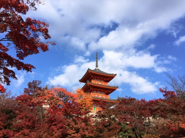 Japonya