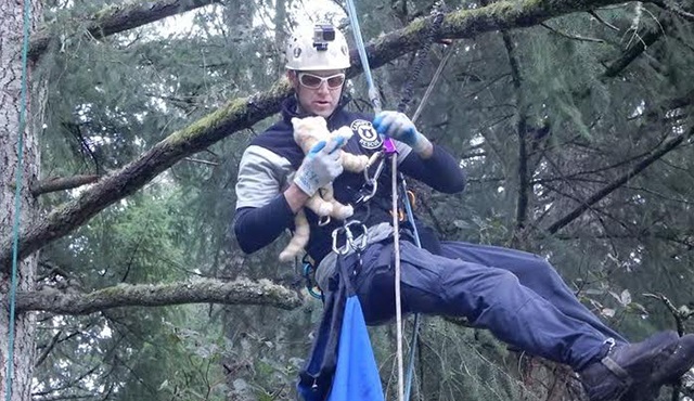 Ağaçtan Kedi Kurtarma, Animal Planet'te başlıyor