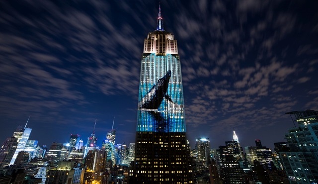 Racing Extinction Belgeseli tüm dünyayla aynı anda Discovery Channel'da!