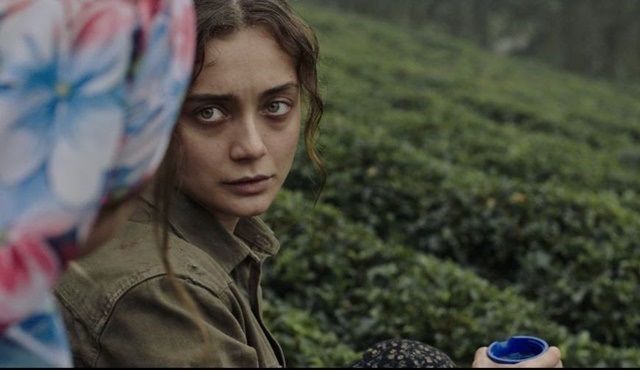 Damla Sönmez, Sibel filmi için ıslık dilini öğrendi!