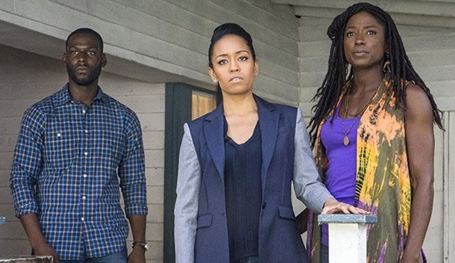 Queen Sugar dizisi üçüncü sezon onayını aldı