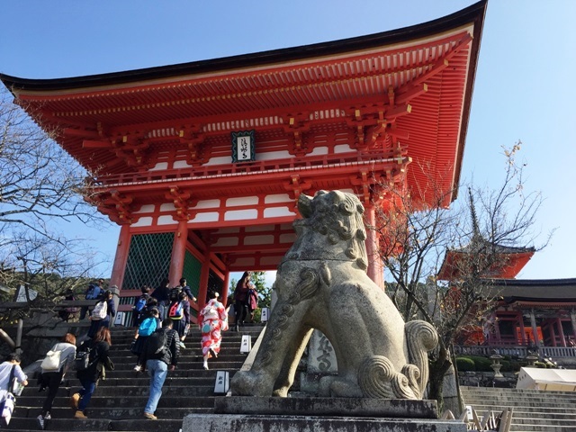 Japonya