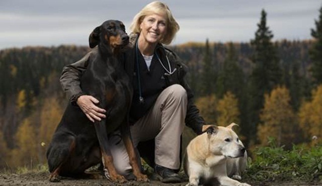 Dr. Dee: Alaska Veterineri Pazartesi Günü Animal Planet'te başlıyor