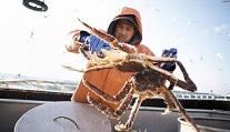 Ölümcül Av Discovery Channel