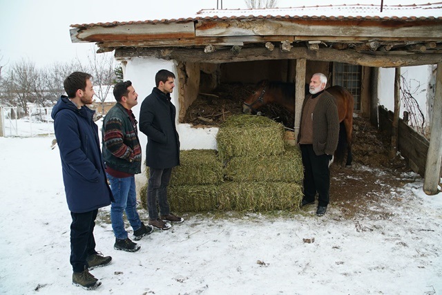 Bölüm: 19