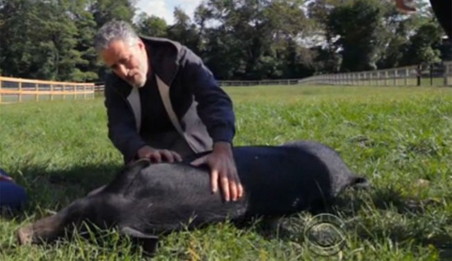 Jon Stewart komediyi bıraktı, hayvan hakları mücadelesine başladı