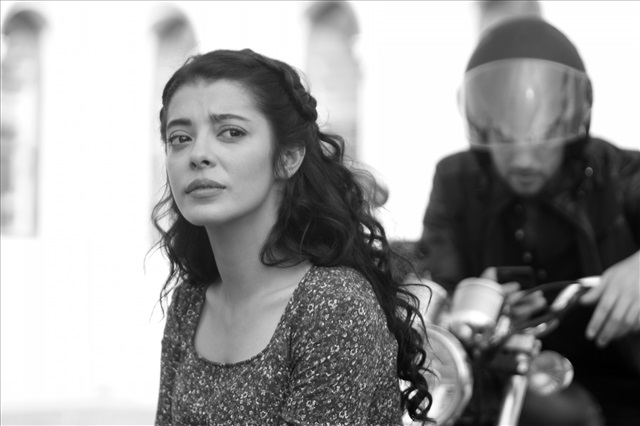 setten özel kareler