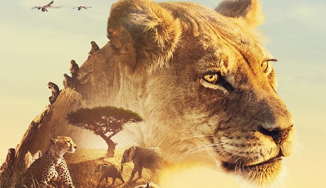 Yepyeni belgeseller Ekim ayında BBC Earth’te izleyiciyle buluşuyor!