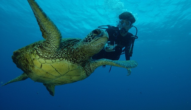 Kritik Görev: Umut Denizi Nat Geo Wild ekranlarında başlıyor