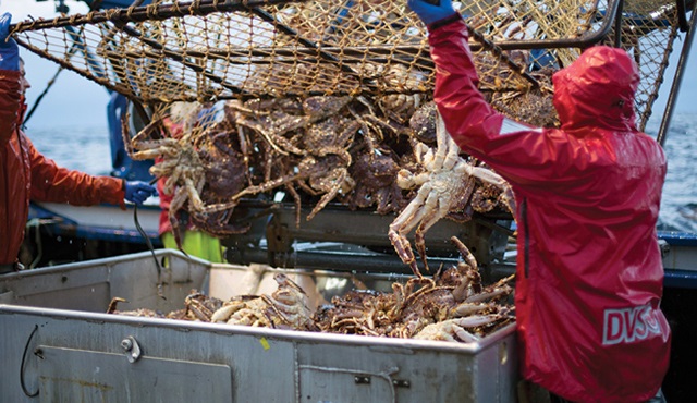 Deadliest Catch: Dungeon Cove için yeşil ışık yandı