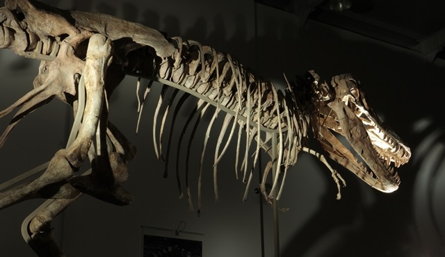BBC Earth bu kez dinozorların peşinde!