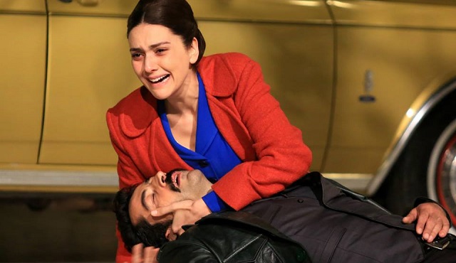 Karadayı'nın sözlük anlamı