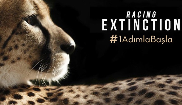Racing Extinction, TLC'de ekrana geliyor