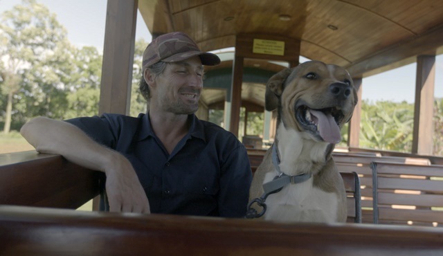 Bartholomew’un Veterinerlik Macerası Nat Geo People’da ekrana gelecek!