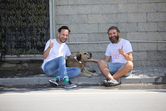 Pati Birliği, sokak köpekleri için gönüllüleri bir araya getirdi!