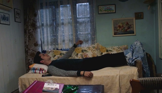 Ergüven ailesini tanıyalım