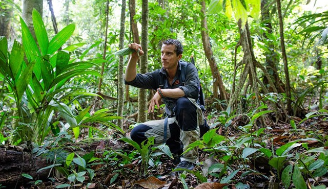 Bear Grylls Gorevimiz Hayatta Kalmak Discovery Channel Da Basliyor Ranini Tv