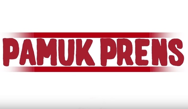 Tamer Karadağlı'dan yeni dizi: Pamuk Prens
