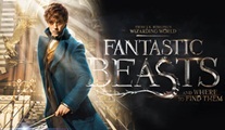 Fantastic Beasts and Where to Find Them