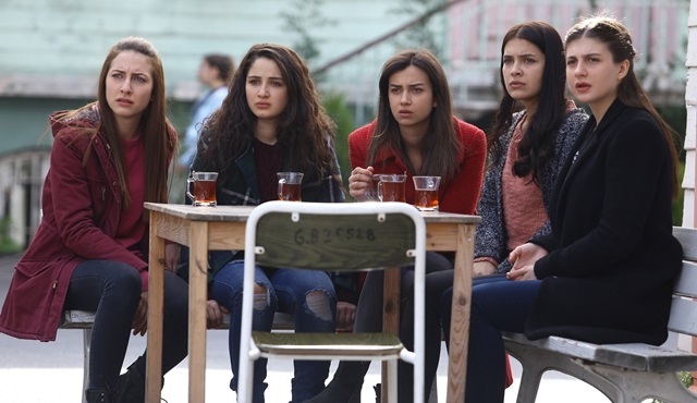 AB Survivor, Total ise Kırgın Çiçekler izledi!