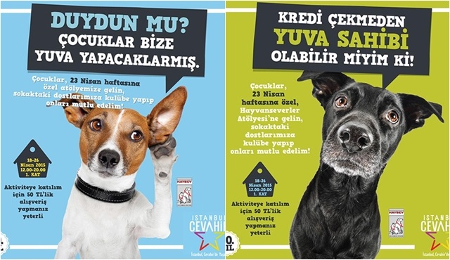 Cevahir’de 23 Nisan coşkusu sokak hayvanları için yardıma dönüşüyor! 