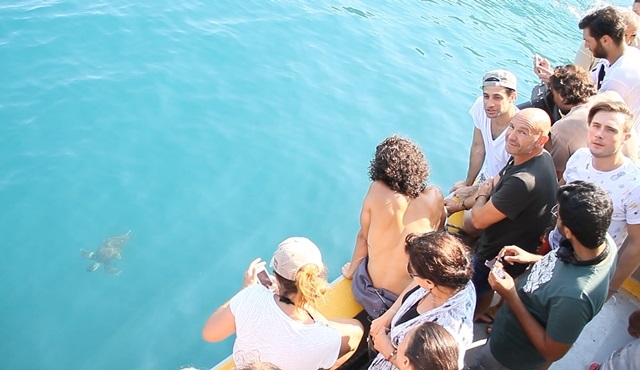 Nadide Hayat’ın setinde ‘Caretta Caretta’ heyecanı!