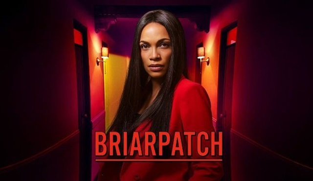 Briarpatch dizisi iptal oldu