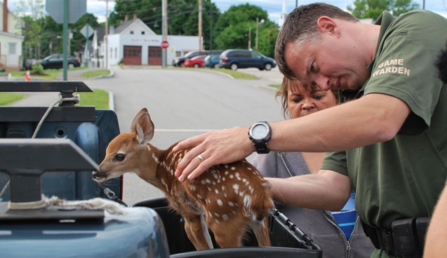 North Woods Kanunları yarın Animal Planet'ta başlıyor