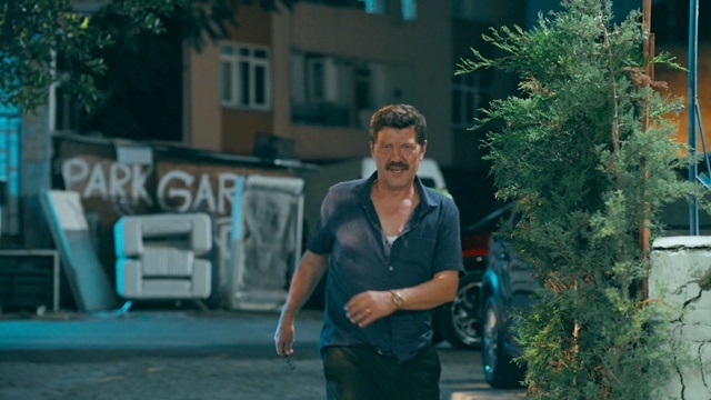 Bölüm: 12
