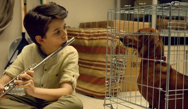 15. Filmekimi'nin Kaçırmamanız Gereken Filmleri