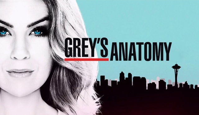 Grey's Anatomy: Ne kadar karanlık olursa olsun, güneş tekrar doğacaktır
