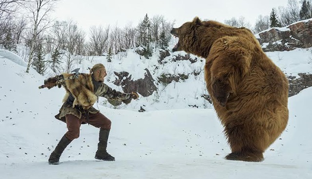 Vikings'in ayısı The Revenant'ın ayısına karşı!