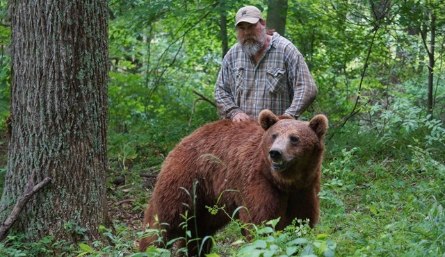 Bozayı Projesi yarın akşam Animal Planet ekranlarında başlıyor!