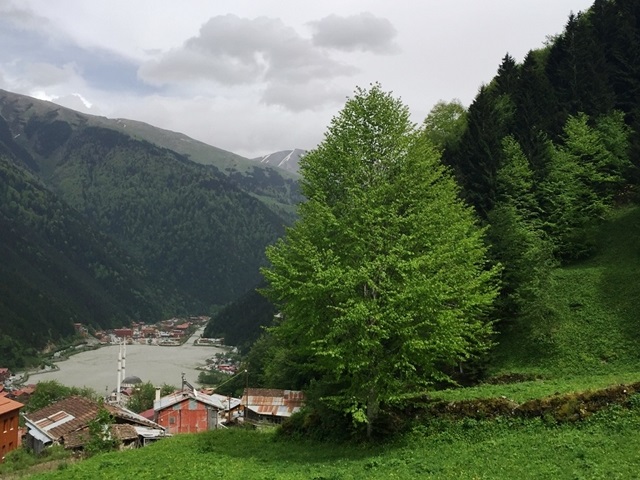 Trabzon