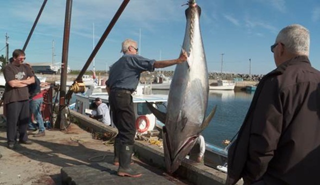 Canavar Avı yarın Animal Planet'te başlıyor