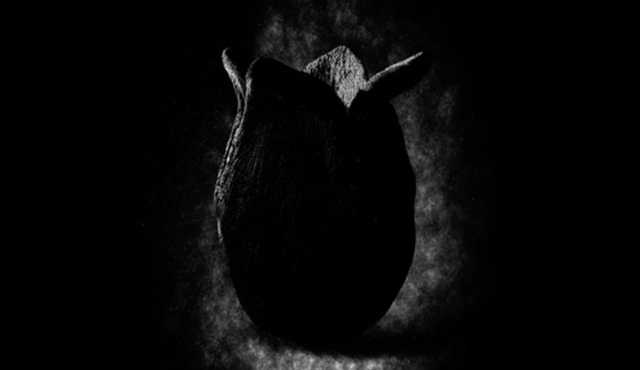 Alien: Covenant filminden ilk tanıtım yayınlandı!