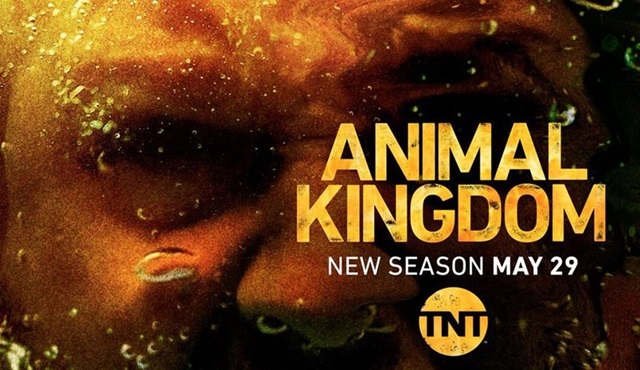 Animal Kingdom 3. sezonuyla 29 Mayıs'ta ekranlara dönüyor