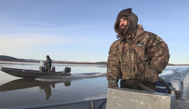 Alaska’nın vahşi doğasındaki hayat mücadelesi Nat Geo ekranlarında