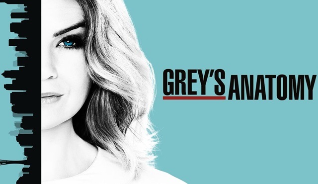 Grey's Anatomy: 13 sezonda neler yaşandı?