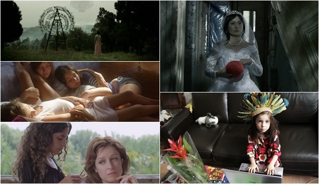 Malatya Film Festivali | 8 Kasım Programı