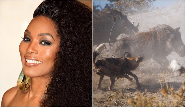 “Tufan” Angela Bassett’in anlatımıyla Nat Geo Wild’da ekrana gelecek!