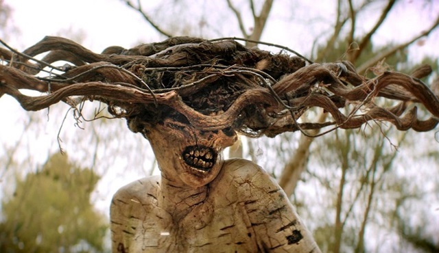 Facebook'tan yeni bir diziye onay çıktı: The Birch