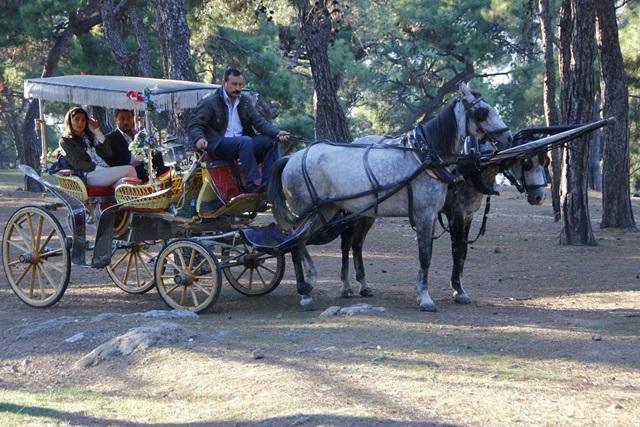 7. Bölüm Özel